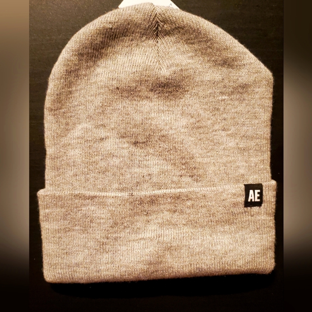 American Eagle Fittes Beanie